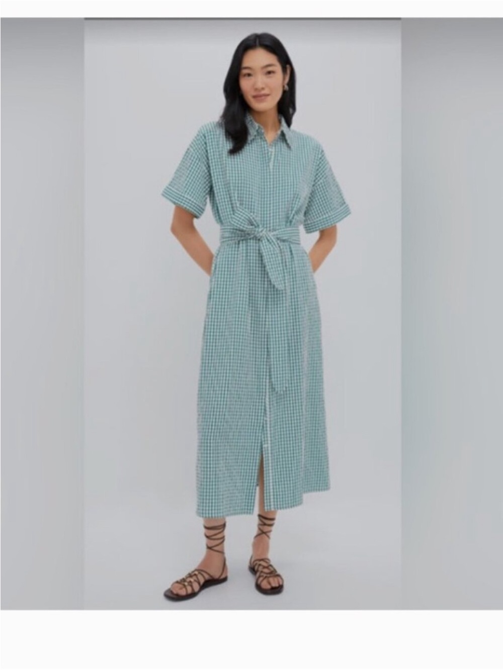 NWT Tuckernuck Pomander Place Zacara green gingham seersucker dress